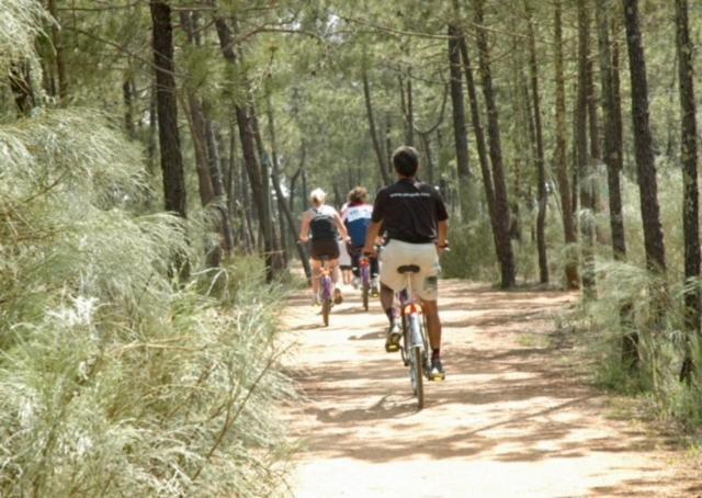 Appartamento Esuri Nature Reserve Ayamonte Esterno foto